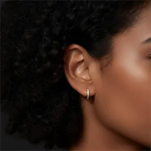 Moissanite Single Row Square Stone Hook Type Circle Earrings - The second picture