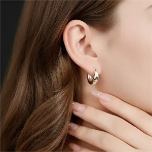 Moissanite Light Luxury Thick Round Earrings - The second picture