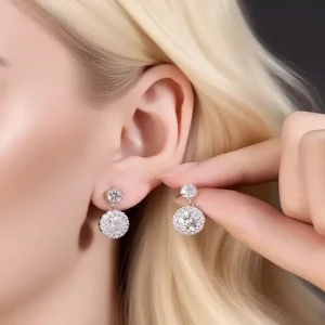 Moissanite Circular Ice Crystal Double Diamond Earrings - The second picture