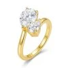 Gold / Moissanite / 5